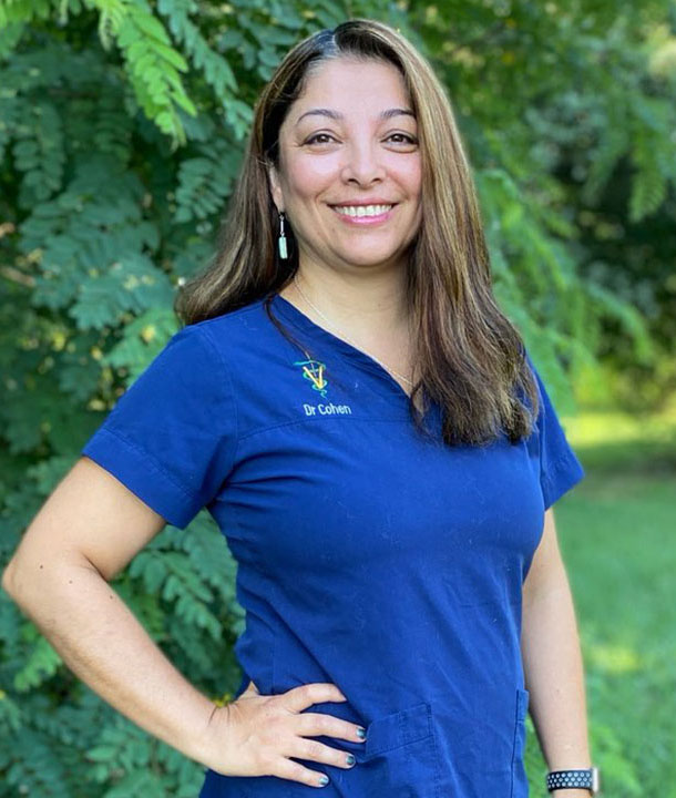 Dr. Romina Cohen, DVM